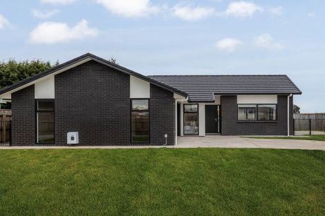 Photo of property in 79 Hinemoa Street, Levin, 5510