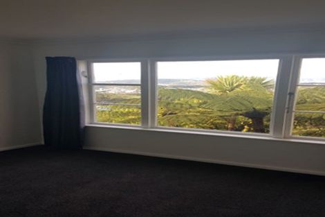 Photo of property in 153 The Ridgeway, Mornington, Wellington, 6021