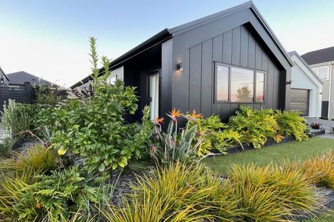 Photo of property in 32 Te Rata Boulevard, Karaka, 2124