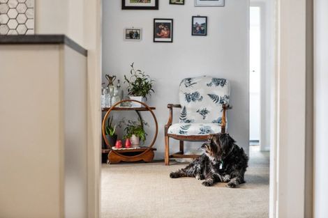 Photo of property in 23 Park Street, Morrinsville, 3300