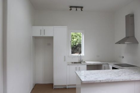 Photo of property in 3 Lucan Street, North East Valley, Dunedin, 9010