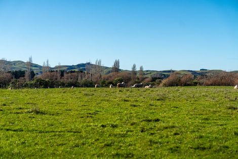 Photo of property in 64b Opaki Kaiparoro Road, Opaki, 5871