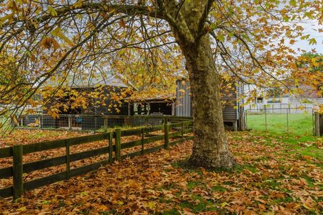 Photo of property in 81259 State Highway 2, Mangatainoka, Pahiatua, 4982