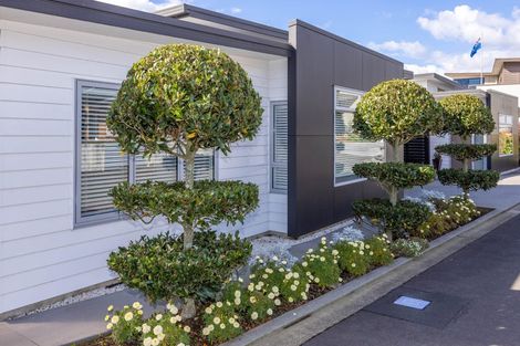 Photo of property in 263 Carlton Street, Te Awamutu, 3800