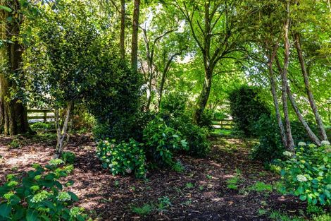 Photo of property in 52 Whakaroa Road, Kinloch, Taupo, 3385