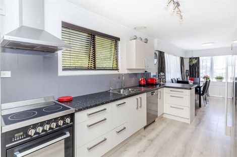 Photo of property in 54 Morrow Avenue, St Andrews, Hamilton, 3200