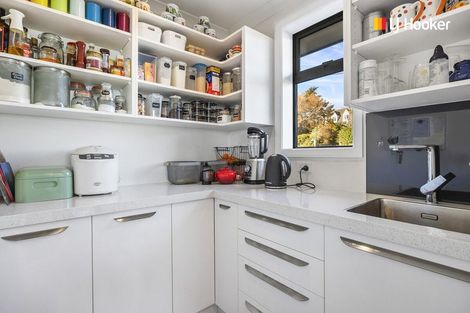 Photo of property in 175 Scott Street, Waverley, Dunedin, 9013