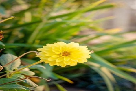 Photo of property in 2/280 Halswell Road, Halswell, Christchurch, 8025