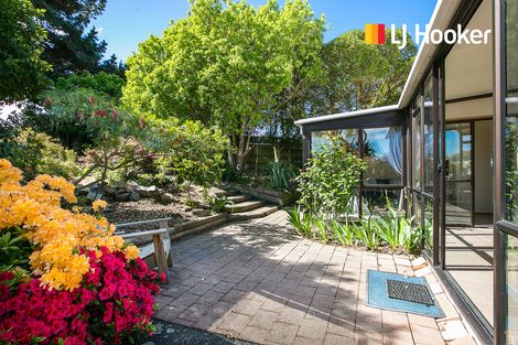 Photo of property in 11 Spencer Street, Andersons Bay, Dunedin, 9013