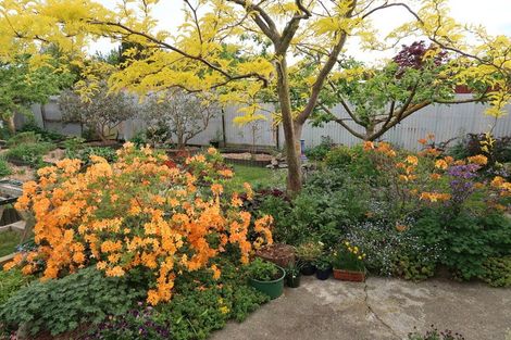 Photo of property in 8 Moorhouse Street, Waimate, 7924