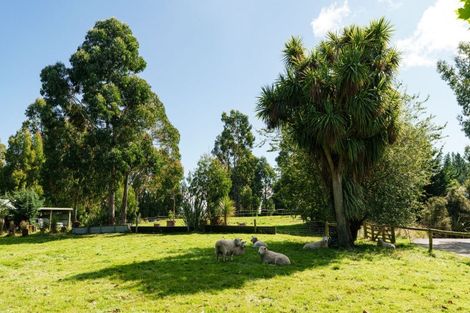 Photo of property in 54 Scurr Road, Scroggs Hill, Dunedin, 9076