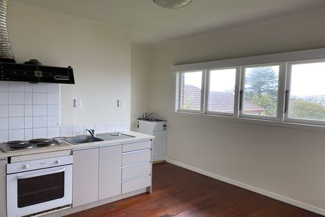 Photo of property in 481 Mount Albert Road, Mount Roskill, Auckland, 1042