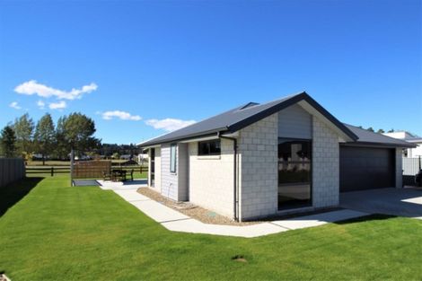 Photo of property in 22 Brooke Place, Alexandra, 9320