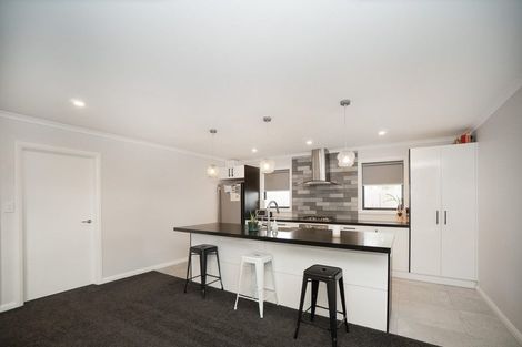 Photo of property in 55a Ferguson Street, Awapuni, Palmerston North, 4412