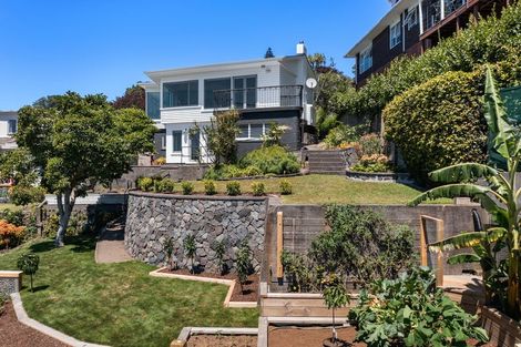 Photo of property in 154 Vivian Street, New Plymouth, 4310
