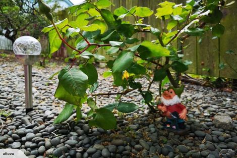 Photo of property in 62a Reed Street, Oamaru, 9400