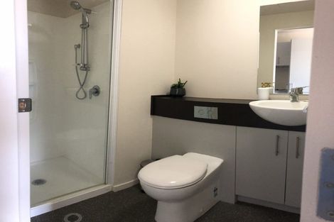 Photo of property in The Peak Apartments, 1001/170 Taranaki Street, Te Aro, Wellington, 6011