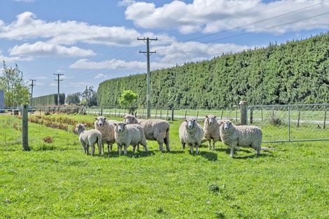 Photo of property in 253 Burts Road, Southbridge, Leeston, 7682