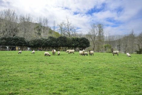 Photo of property in 232 Brownlie Road, Frasertown, Wairoa, 4195