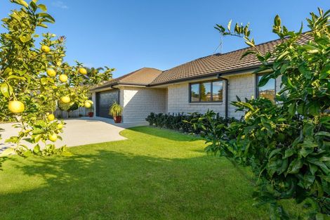 Photo of property in 19 Inglewood Place, Bethlehem, Tauranga, 3110