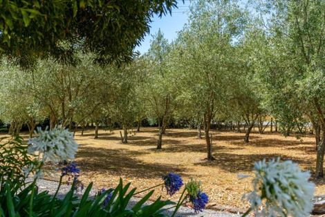 Photo of property in 8 Wards Line, Morison Bush, Greytown, 5794