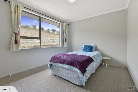 Photo of property in 179 Ferndale Road, Maramarua Forest, Pokeno, 2471