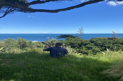 Photo of property in 48 Forest Road, Raumati South, Paraparaumu, 5032