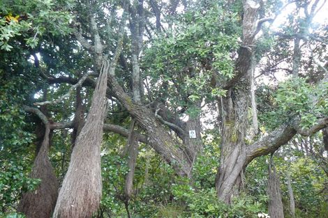 Photo of property in 13 Mount Pleasant Avenue, Beachville, Nelson, 7010