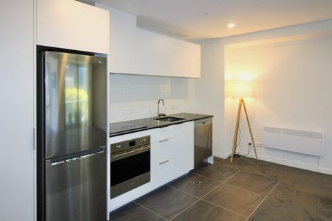 Photo of property in Pinnacle Apartments, E201/160 Victoria Street, Te Aro, Wellington, 6011