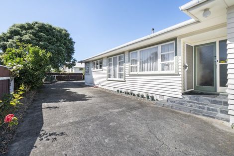 Photo of property in 249 Vogel Street, Roslyn, Palmerston North, 4414