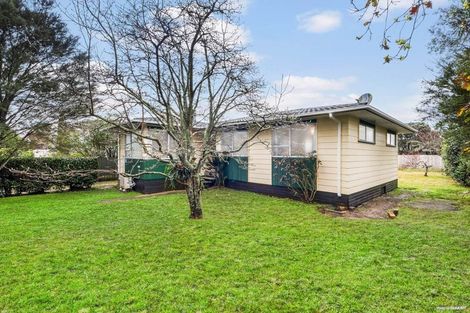 Photo of property in 1 Murillo Place, Henderson, Auckland, 0612
