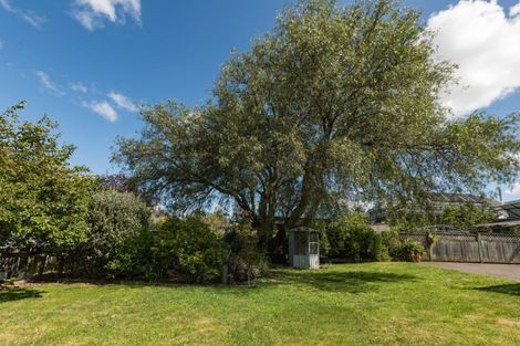 Photo of property in 25 Domain Road, Waipawa, 4210