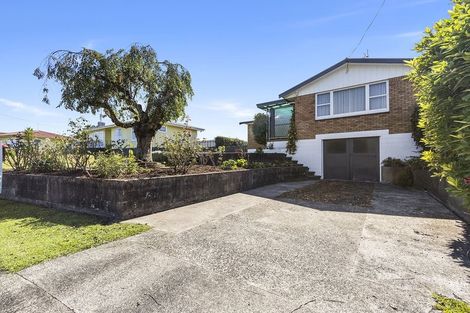 Photo of property in 4 Kowhai Place, Putaruru, 3411