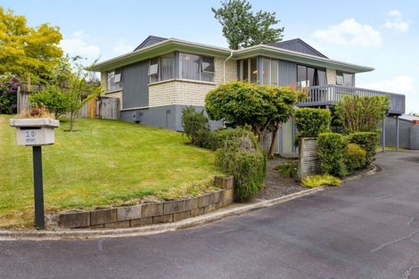 Photo of property in 10 Hazelwood Avenue, Dinsdale, Hamilton, 3204