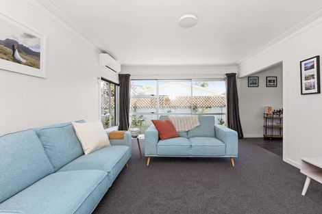 Photo of property in 404a Burnett Street, Mahora, Hastings, 4120