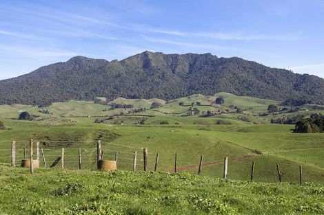 Photo of property in 58 Munns Road, Raglan, 3296