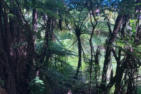 Photo of property in 1b Motuhora Rise, Whakatane, 3120