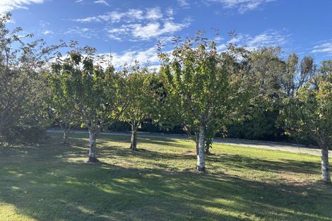 Photo of property in 87 Ardgowan Road, Ardgowan, Oamaru, 9492
