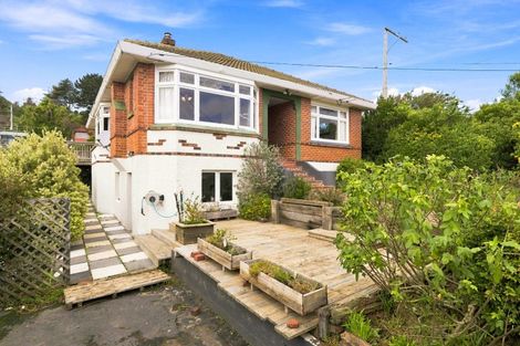 Photo of property in 49 Sunbury Street, Andersons Bay, Dunedin, 9013