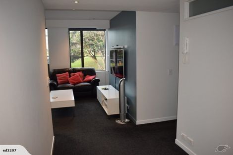 Photo of property in Nouvo Apartments, 21 Rugby Street, Mount Cook, Wellington, 6021