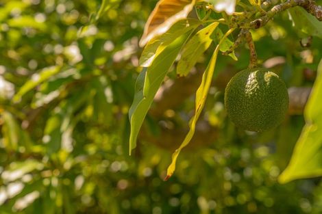 Photo of property in 34 Bennett Drive, Tairua, 3508