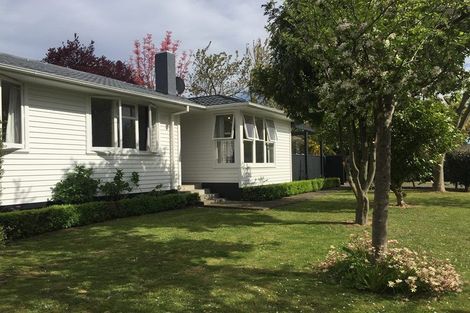 Photo of property in 13 Tasman Street, Havelock North, 4130