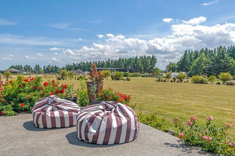 Photo of property in 541 Stoney Creek Road, Kelvin Grove, Palmerston North, 4470