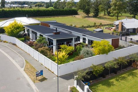 Photo of property in 12 Kelburn Place, Tinwald, Ashburton, 7700