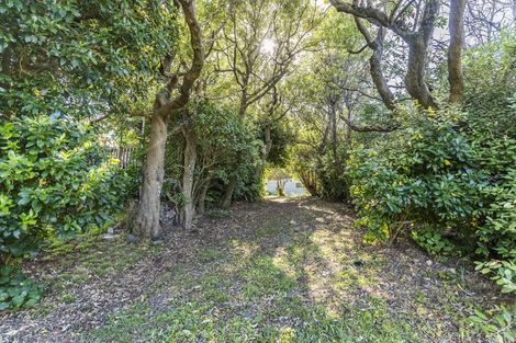 Photo of property in 13 Twomey Grove, Houghton Bay, Wellington, 6023