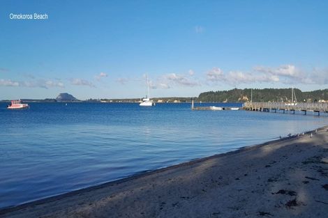 Photo of property in 61 Bert Wall Drive, Omokoroa, 3114