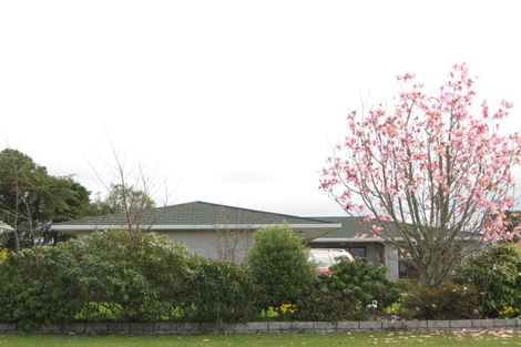 Photo of property in 111 Brecon Road, Stratford, 4332