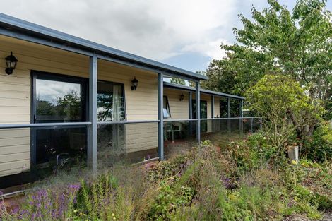 Photo of property in 3 Queen Street, Milton, 9220