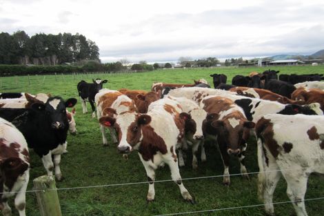 Photo of property in 411 Marychurch Road, Matangi, Hamilton, 3284