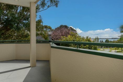 Photo of property in 6 Hairini Street, Hairini, Tauranga, 3112